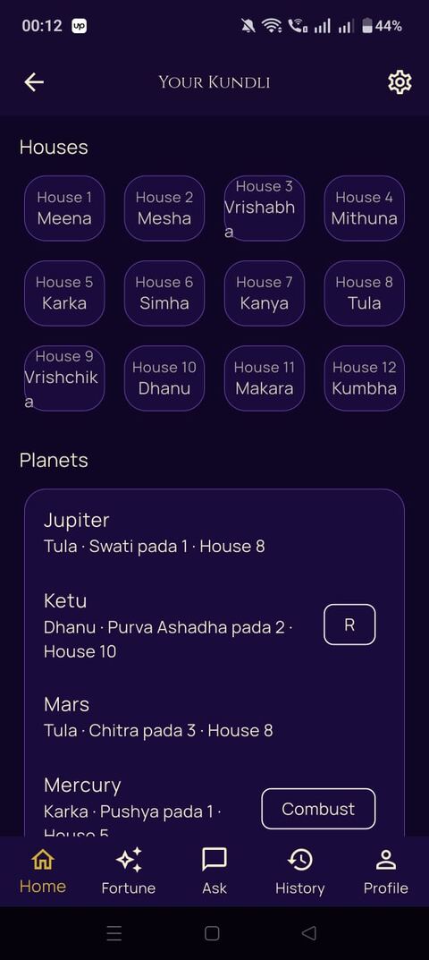 PalmGuru Kundli screen showing houses and planetary positions